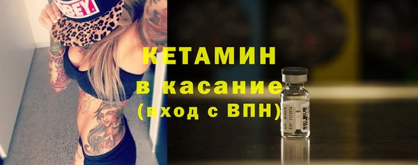 сатива Краснослободск