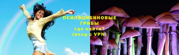 сатива Краснослободск
