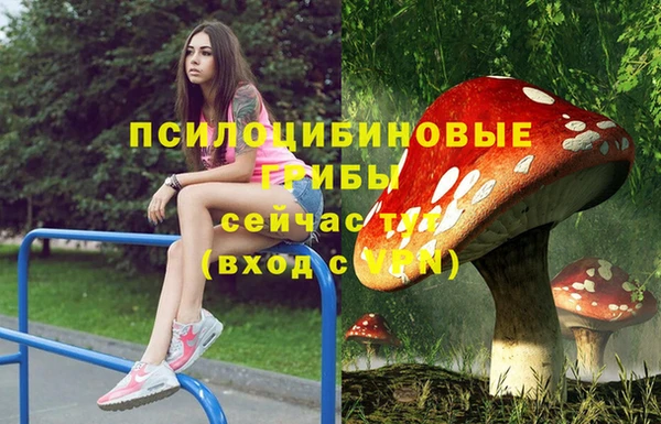 сатива Краснослободск