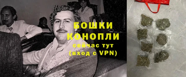индика Костерёво