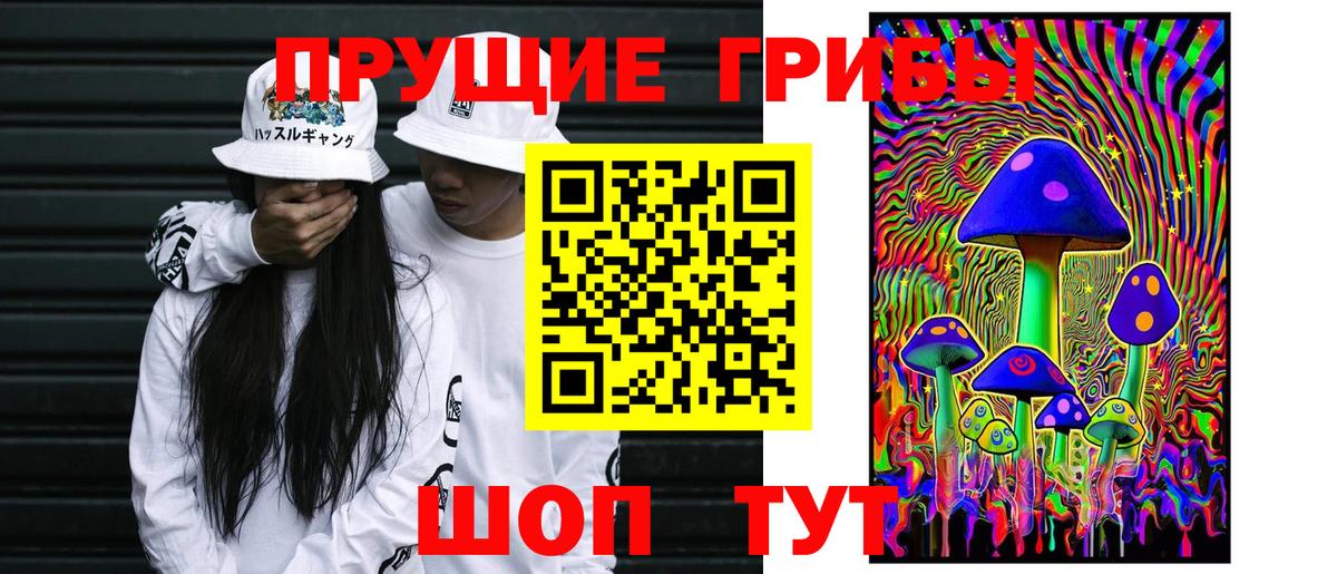 Архангельск  Галлюциногенные грибы Cubensis  Вход с VPN  Галлюциногенные грибы MAGIC MUSHROOMS 