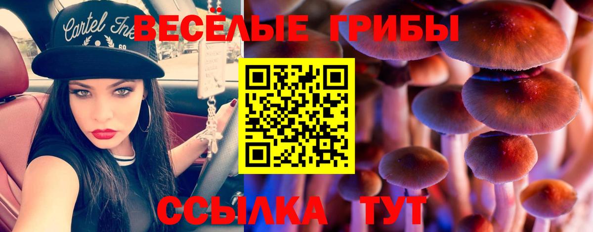 Каннабис  Вход с VPN  Меф кристаллы  Cocaine  Вейп ТГК  ГАШ  Архангельск  Альфа ПВП СОЛЬ  